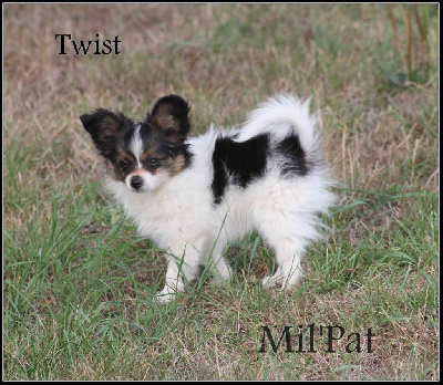 Twist